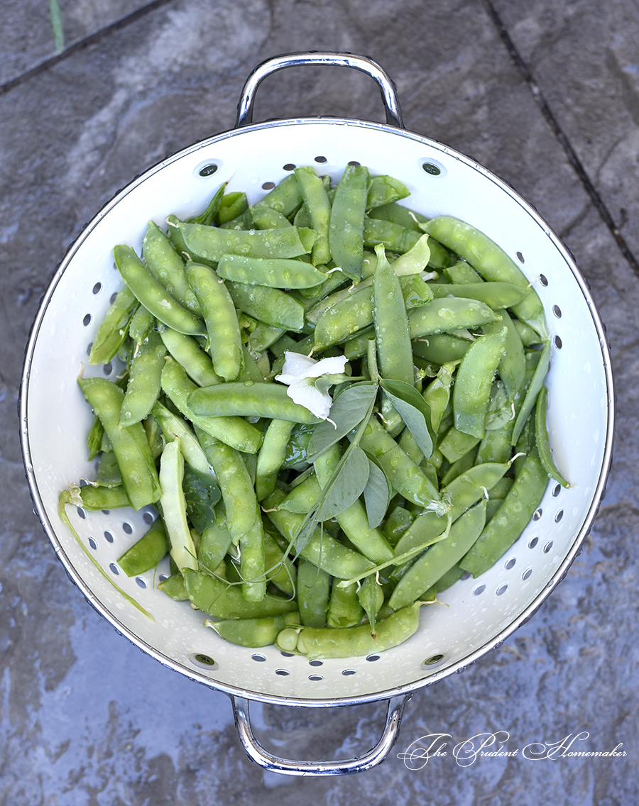 Snow Peas in Colander The Prudent Homemaker