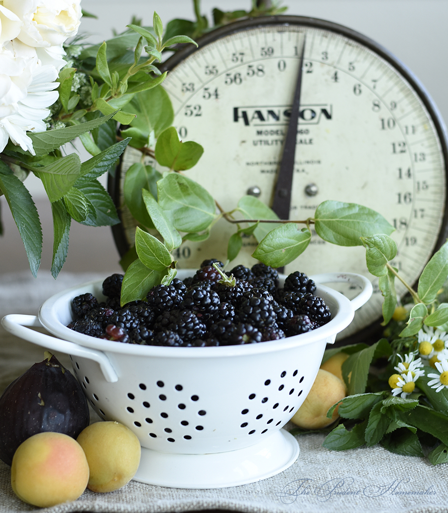 Blackberries June 2018 The Prudent Homemaker