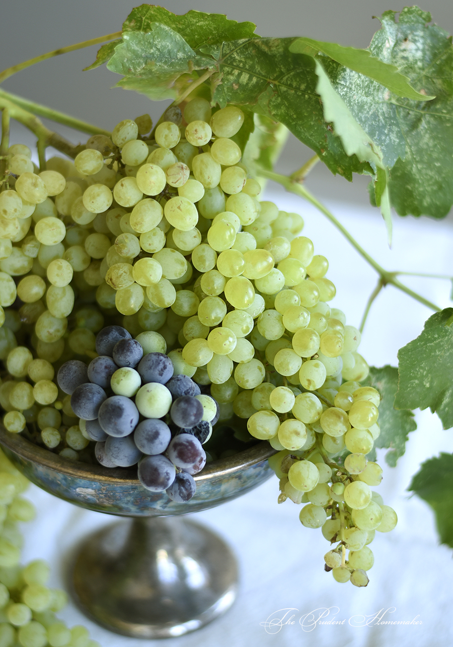 Grapes in urn The Prudent Homemaker