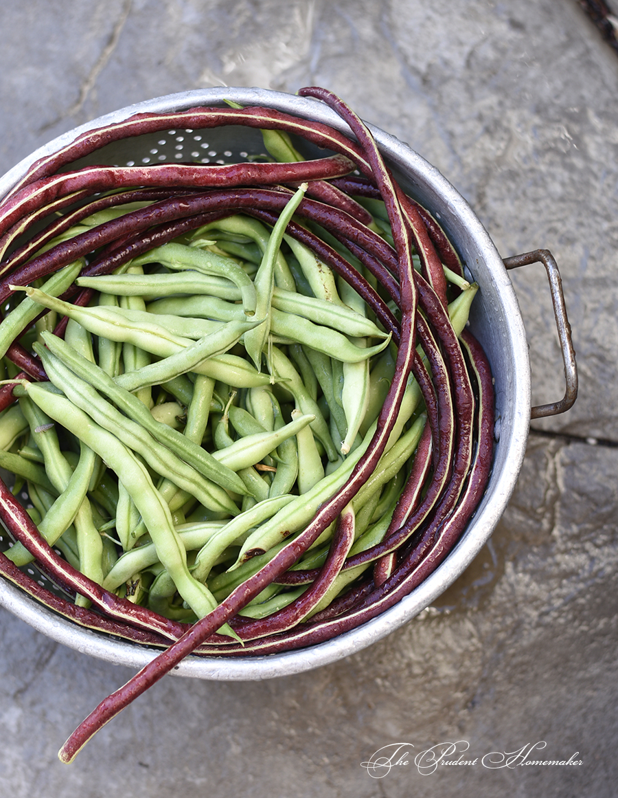 Green and Red Beans The Prudent Homemaker