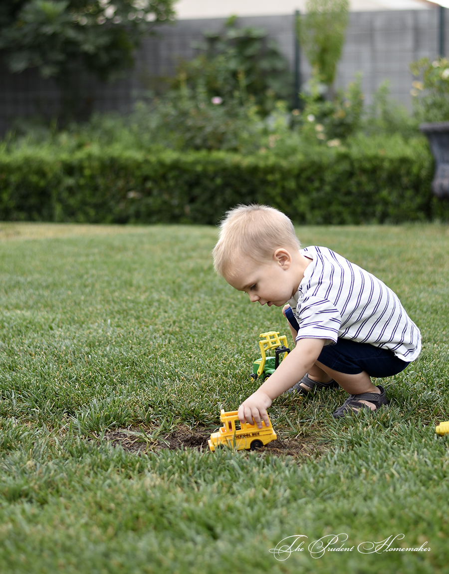 Octavius Playing in the Mud The Prudent Homemaker