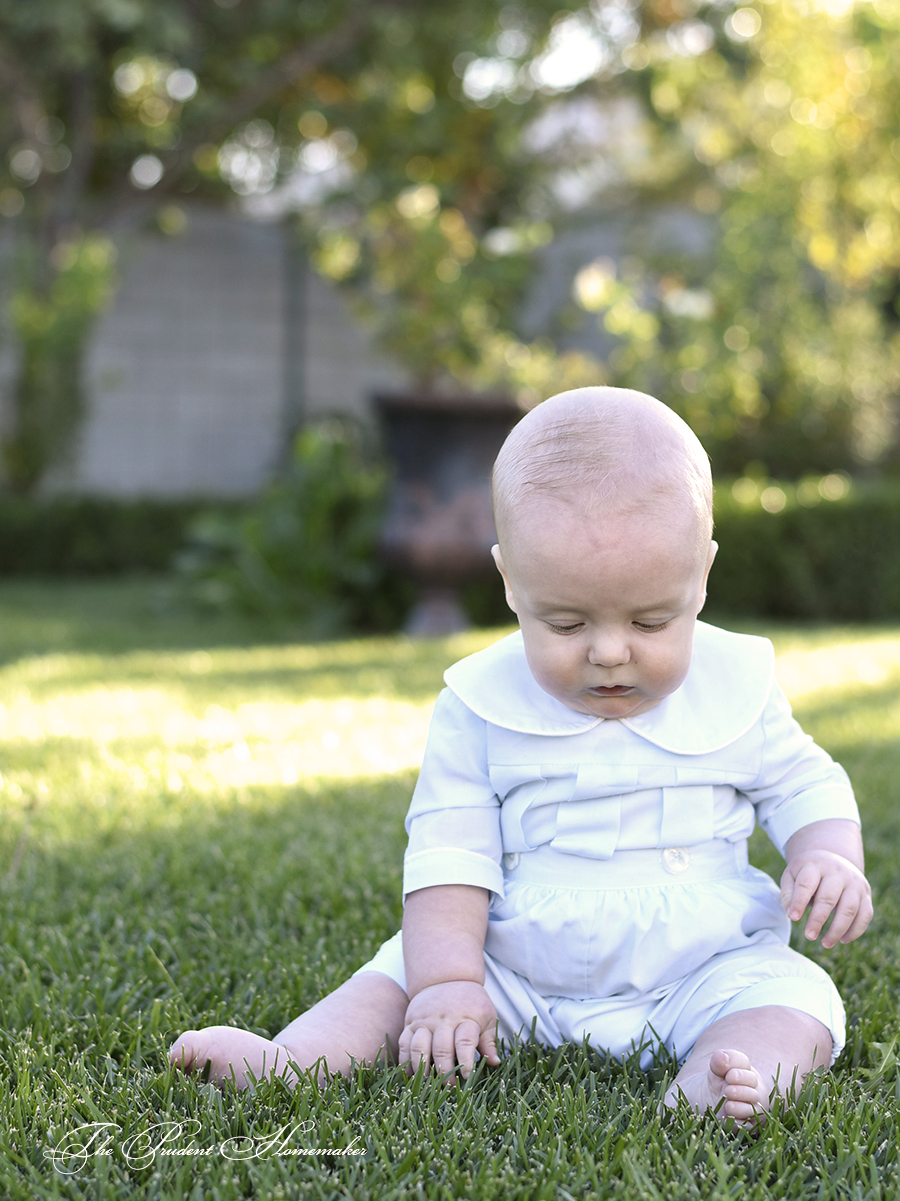 Hamish Discovers Grass The Prudent Homemaker