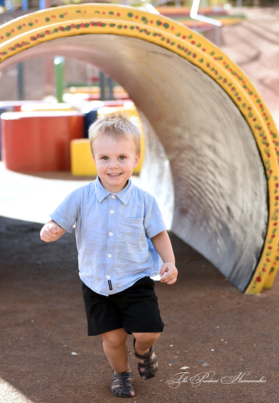 Octavius at the Park The Prudent Homemaker