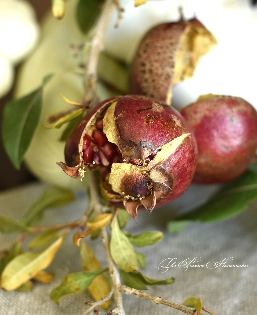 Pomegranate detail The Prudent Homemaker