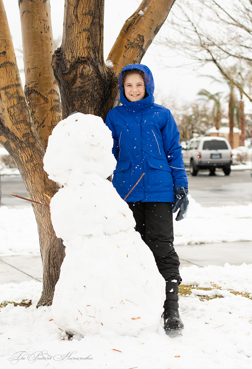 http://theprudenthomemaker.com/wp-content/uploads/2019/02/Snow-Wren-The-Prudent-Homemaker.jpg