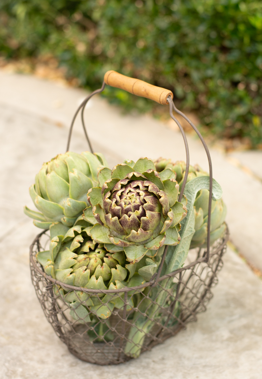 http://theprudenthomemaker.com/wp-content/uploads/2019/05/Artichokes-2.jpg