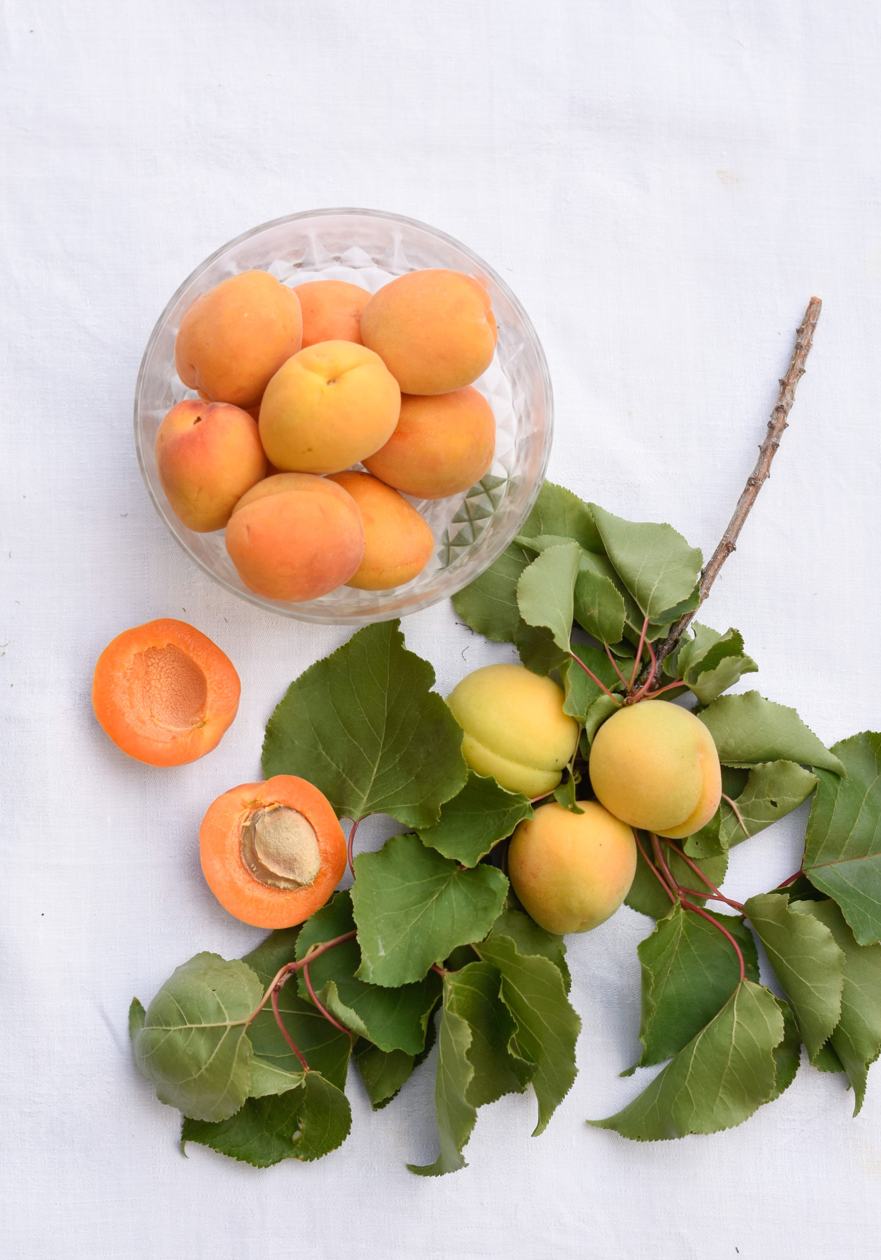 http://theprudenthomemaker.com/wp-content/uploads/2020/06/Apricots-in-May-3l-The-Prudent-Homemaker-scaled.jpg