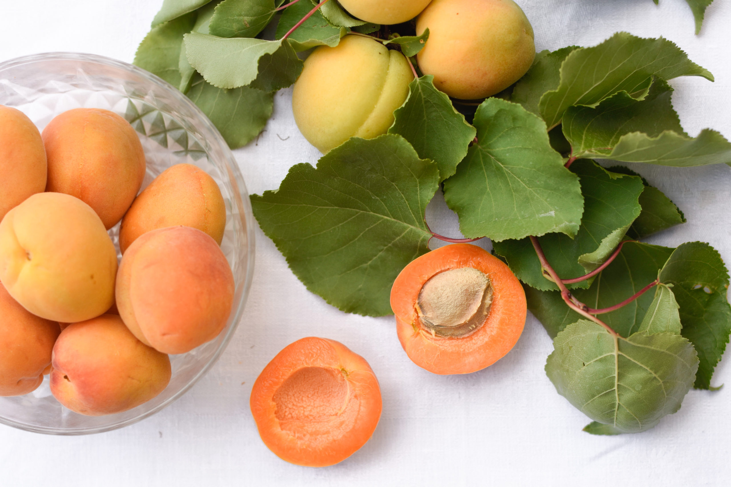 http://theprudenthomemaker.com/wp-content/uploads/2020/06/Apricots-in-May-5-The-Prudent-Homemaker-scaled.jpg