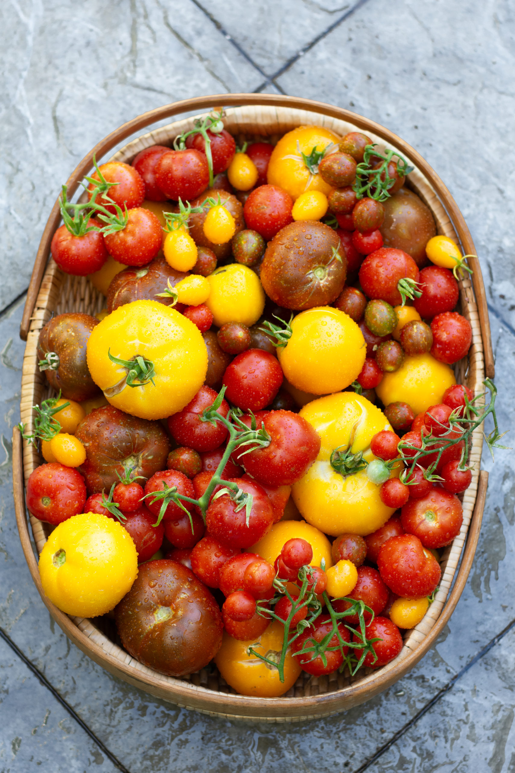 http://theprudenthomemaker.com/wp-content/uploads/2020/07/Tomato-Bounty-The-Prudent-Homemaker-scaled.jpg