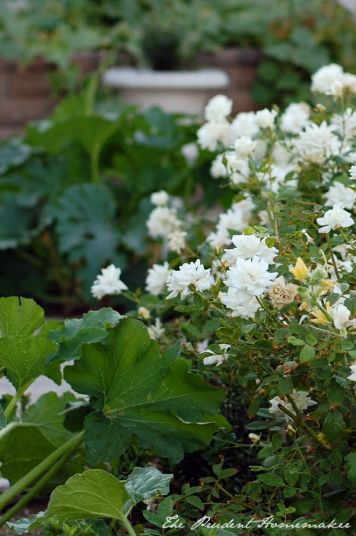 October Garden Tour