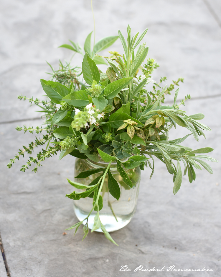 Herb Arrangement The Prudent Homemaker