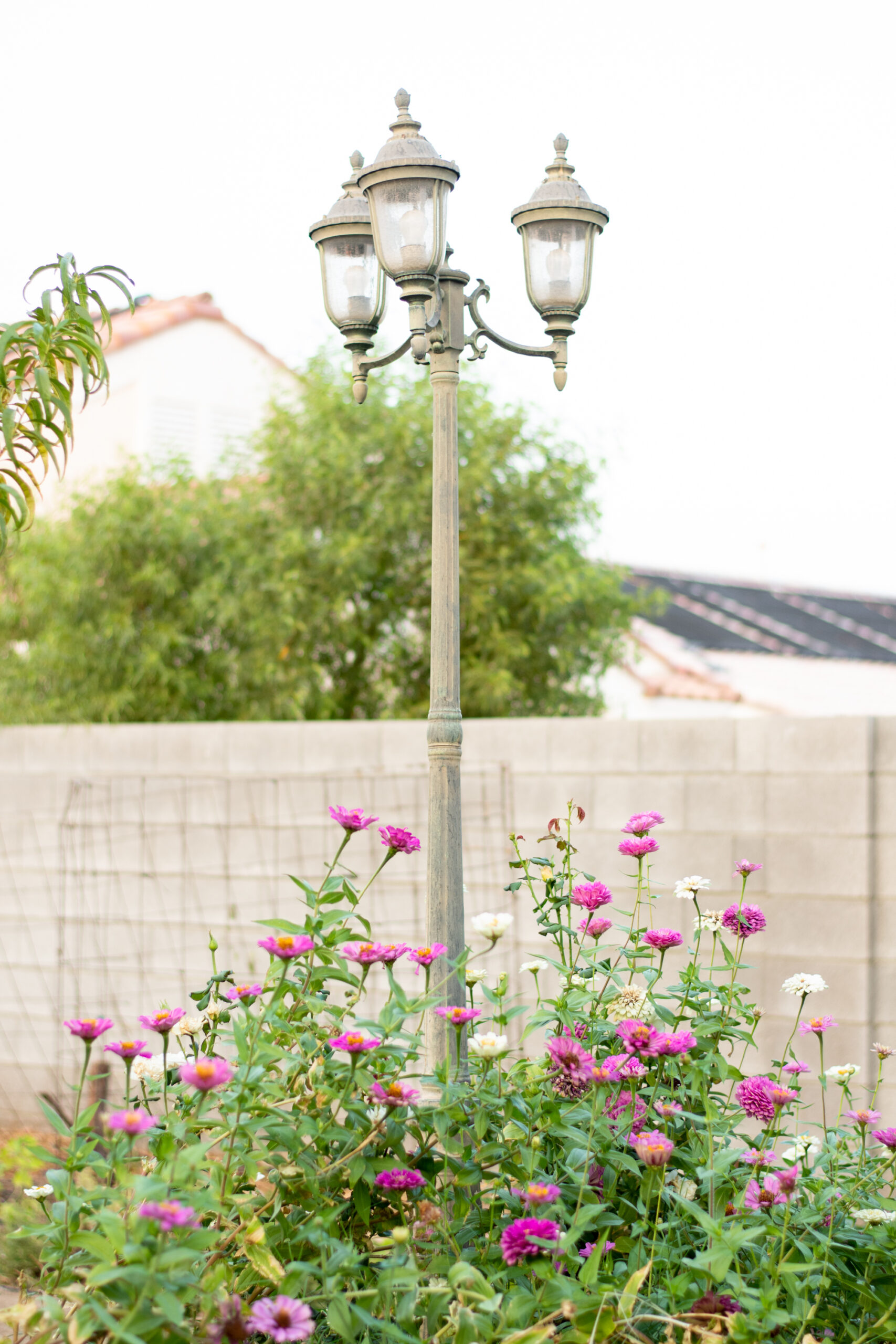 https://theprudenthomemaker.com/wp-content/uploads/2020/10/Lamppost-and-Zinnias-The-Prudent-Homemaker-scaled.jpg