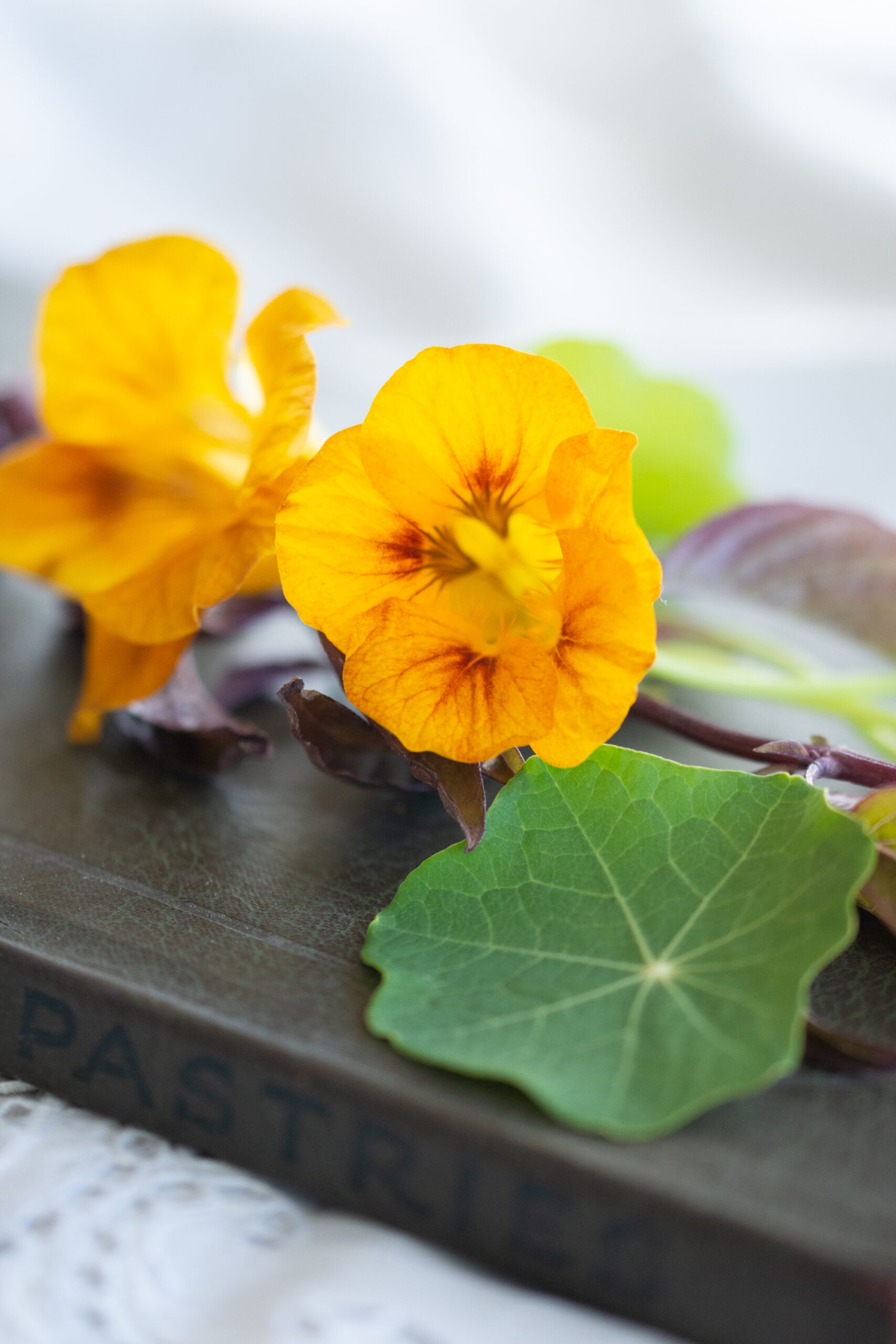 Pantry Jar Canister Vintage Glass Nasturtiums Flowers Orange