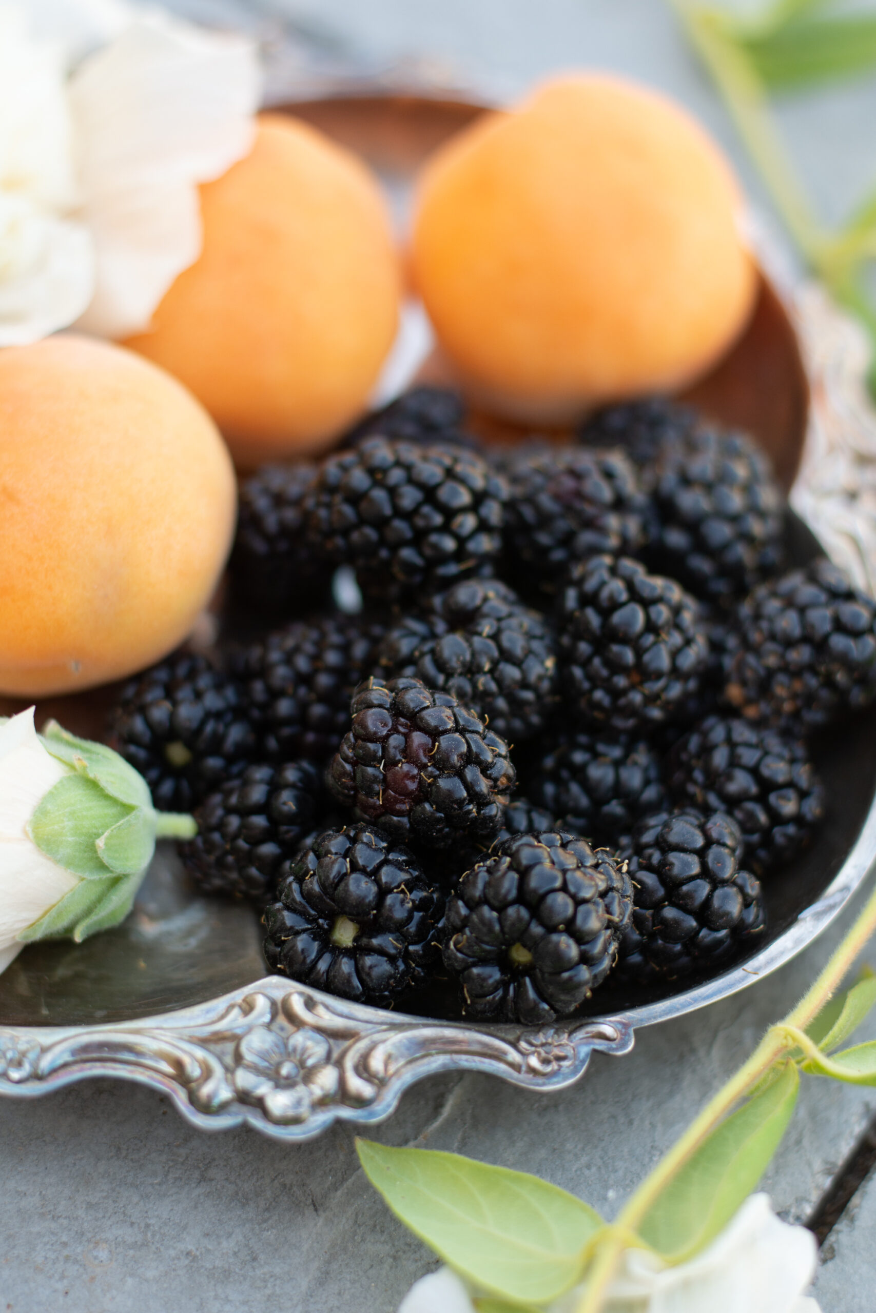 https://theprudenthomemaker.com/wp-content/uploads/2021/05/Blackberries-and-Apricots-1-The-Prudent-Homemaker-scaled.jpg