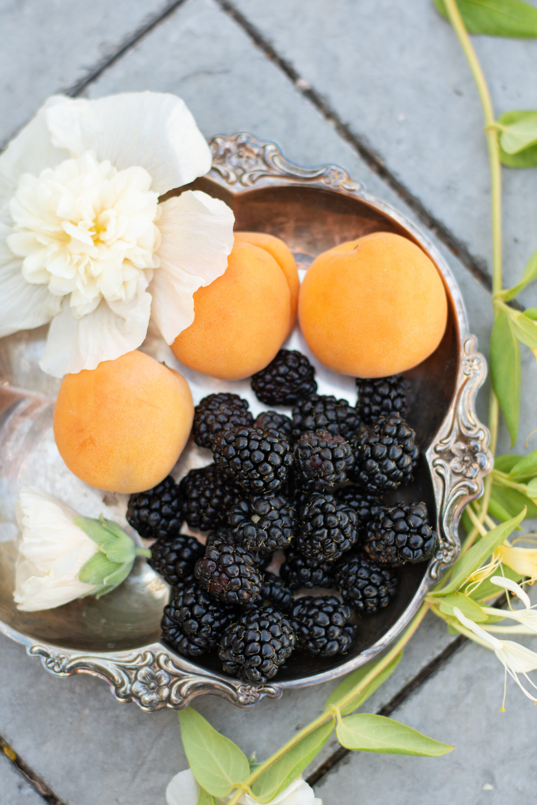 https://theprudenthomemaker.com/wp-content/uploads/2021/05/Blackberries-and-Apricots-2-The-Prudent-Homemaker-scaled.jpg