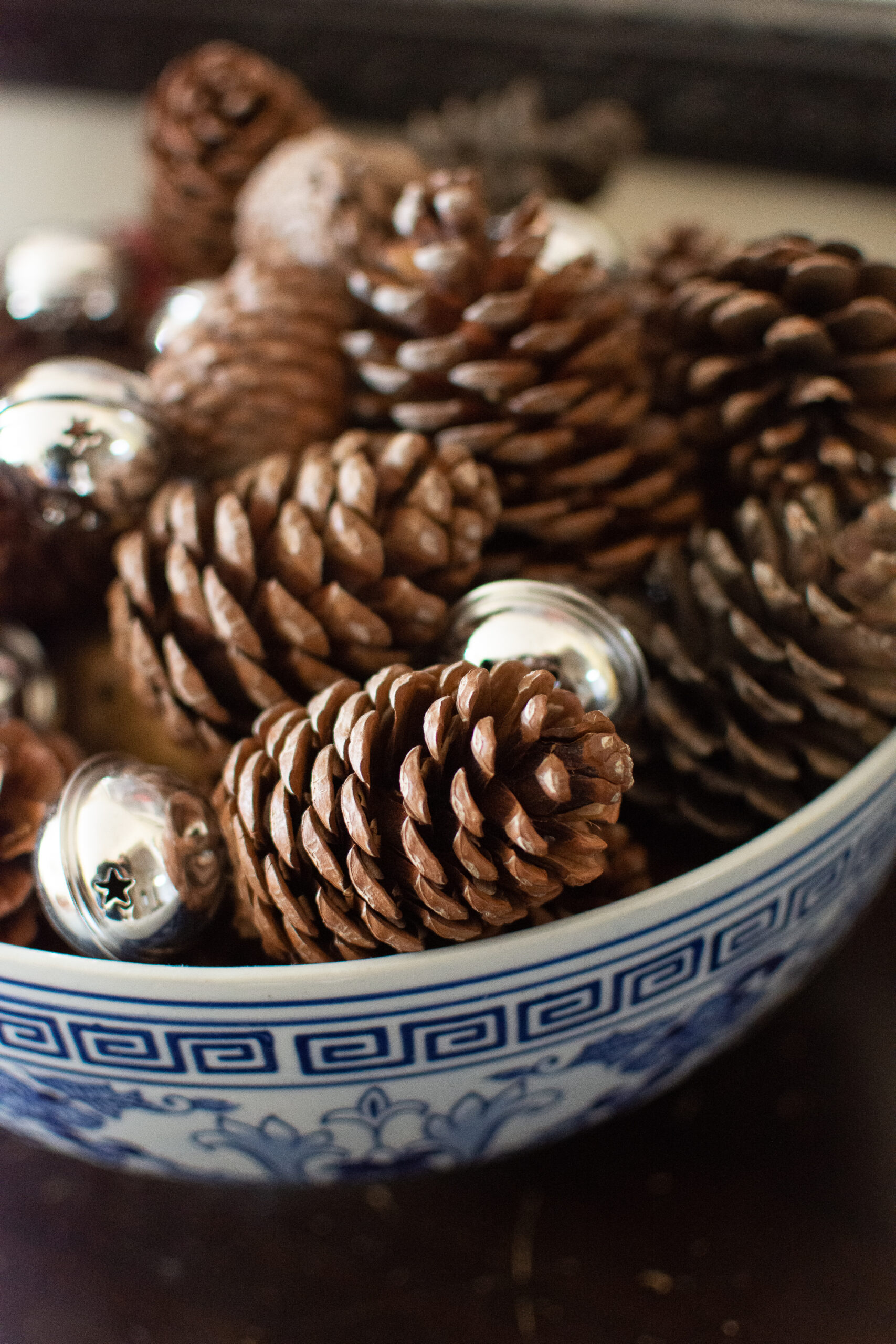 https://theprudenthomemaker.com/wp-content/uploads/2021/12/Christmas-Pinecones-3-The-Prudent-Homemaker-scaled.jpg