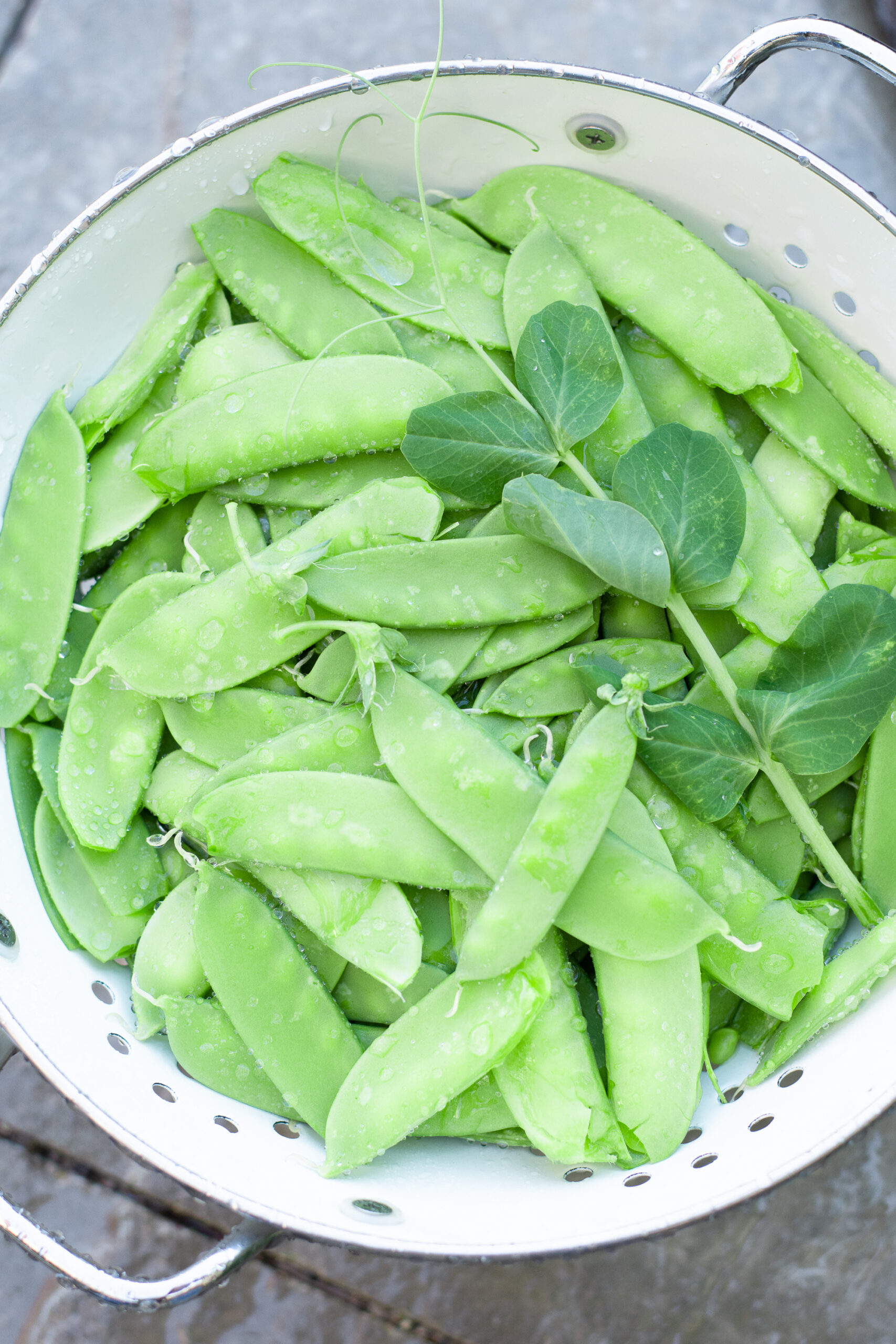 https://theprudenthomemaker.com/wp-content/uploads/2022/03/Snowpeas-The-Prudent-Homemaker-scaled.jpg