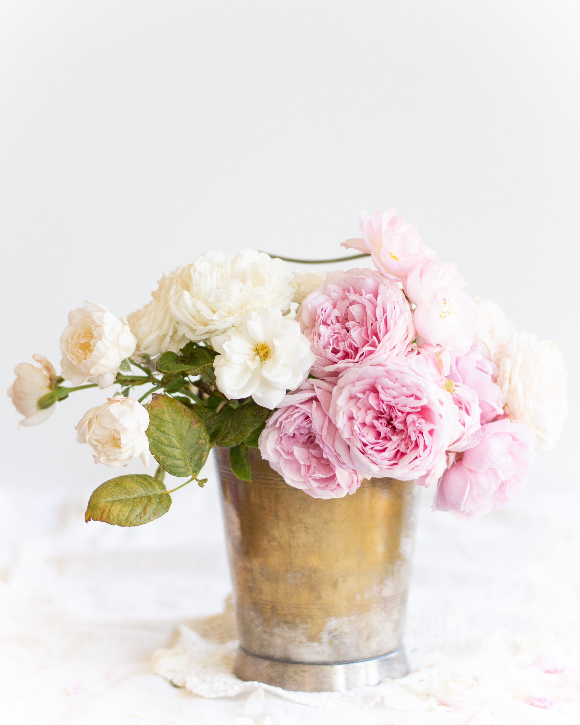 https://theprudenthomemaker.com/wp-content/uploads/2022/06/Roses-in-June-in-Bucket-The-Prudent-Homemaker.jpg