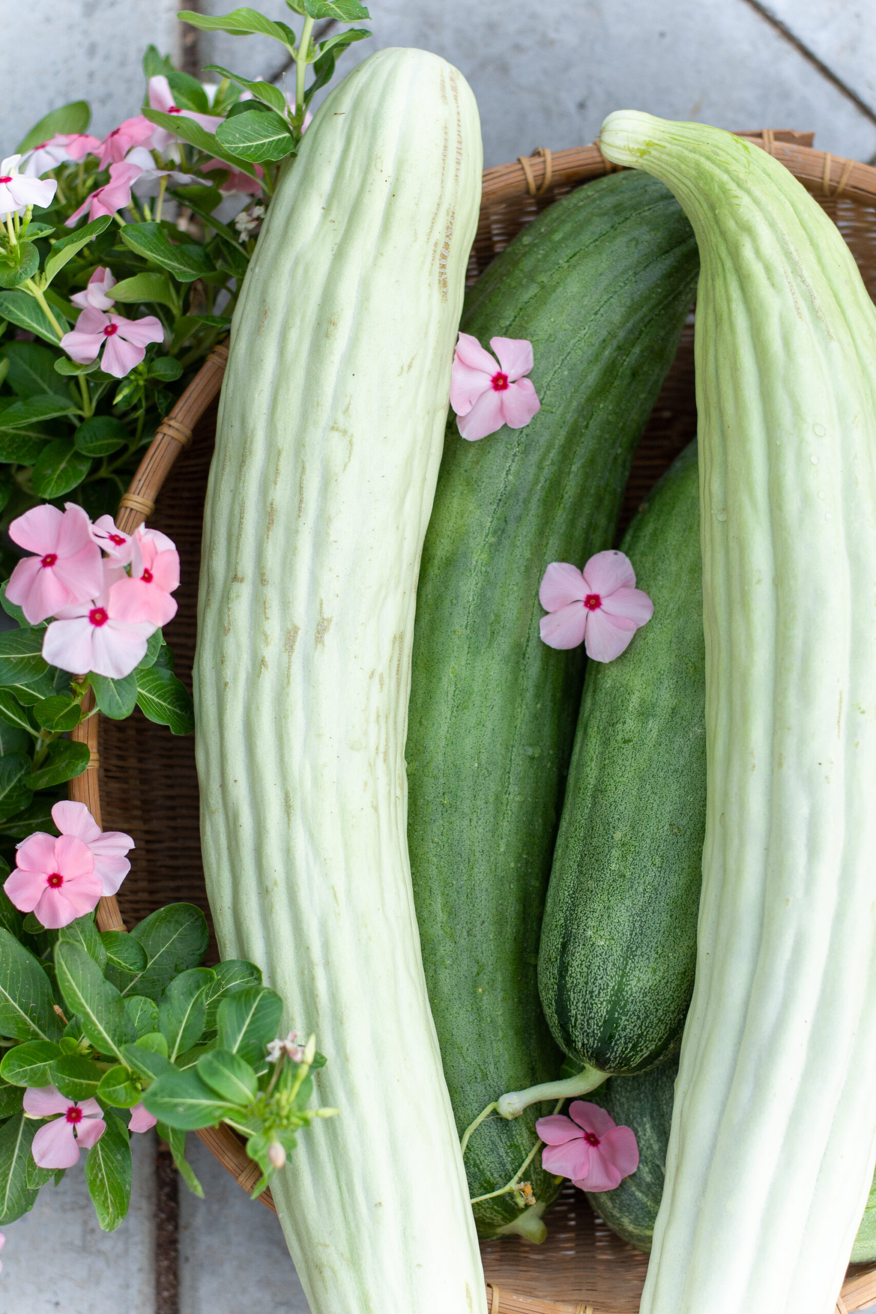 https://theprudenthomemaker.com/wp-content/uploads/2022/09/Armenian-Cucumbers-in-basket-The-Prudent-Homemaker-scaled.jpg