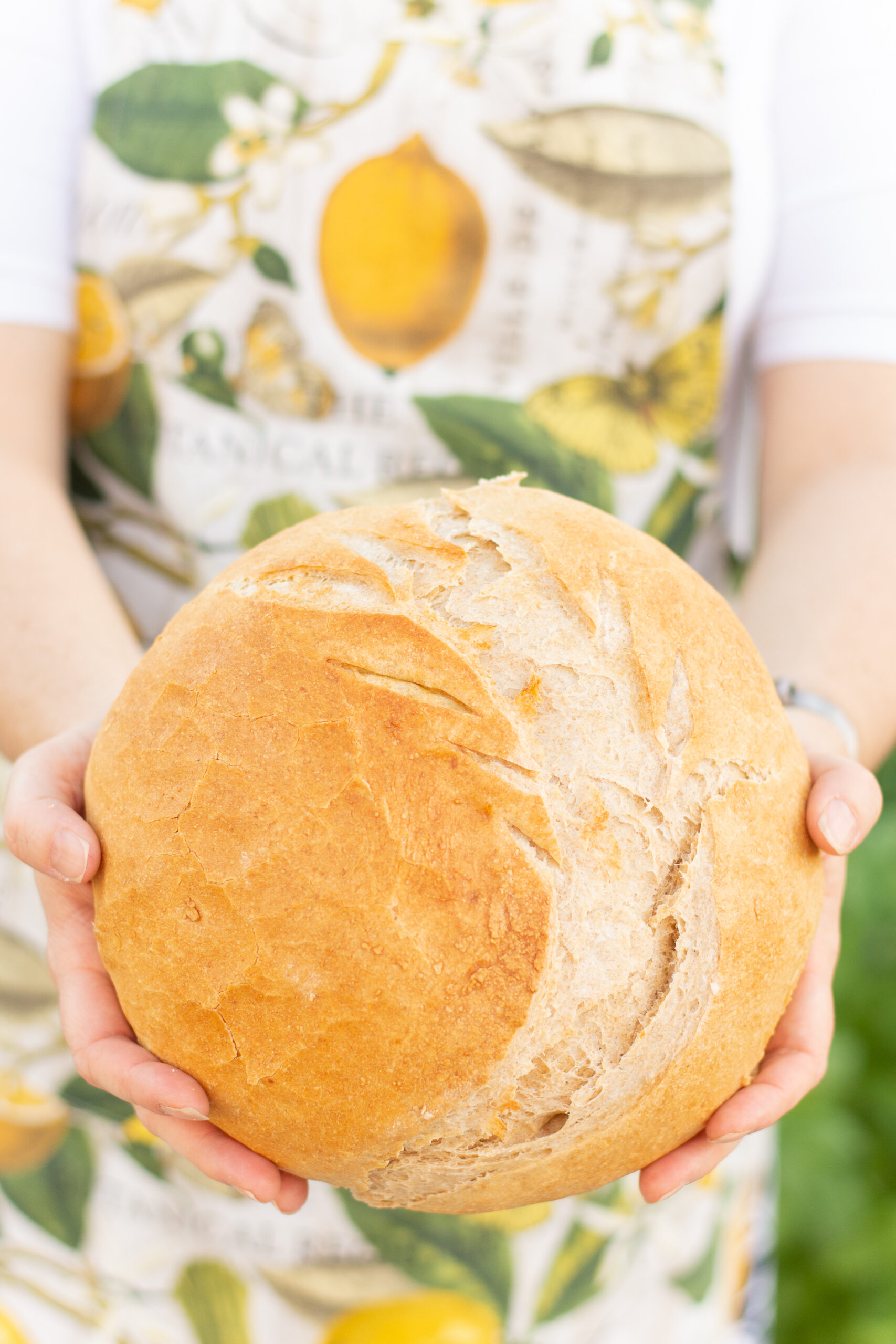https://theprudenthomemaker.com/wp-content/uploads/2022/09/French-Bread-in-hands-The-Prudent-Homemaker-scaled.jpg