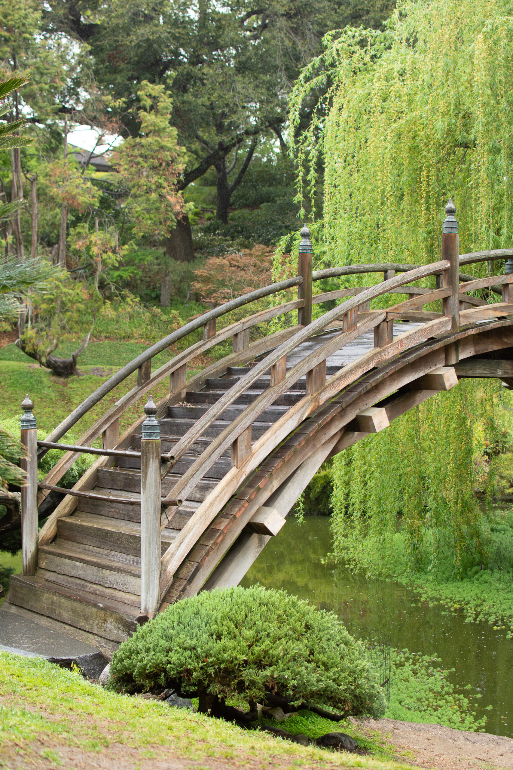 https://theprudenthomemaker.com/wp-content/uploads/2023/04/Japanese-Bridge-Huntington-Library-The-Prudent-Homemaker-scaled.jpg