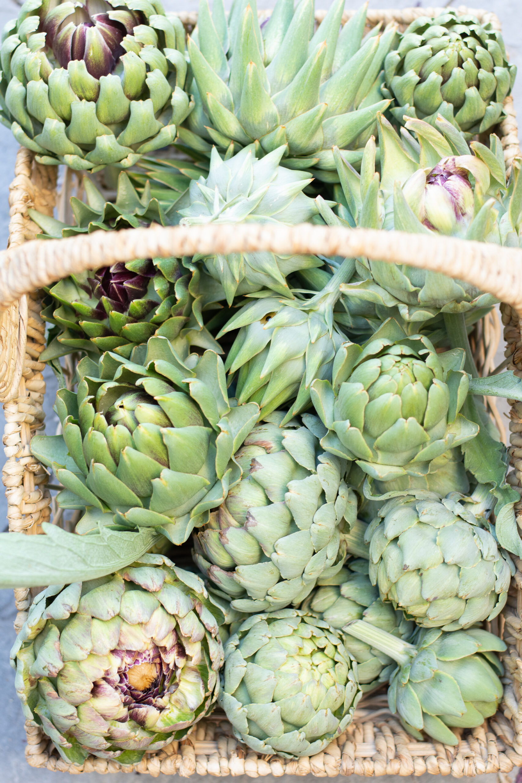 https://theprudenthomemaker.com/wp-content/uploads/2023/05/May-Artichokes-The-Prudent-Homemaker-scaled.jpg